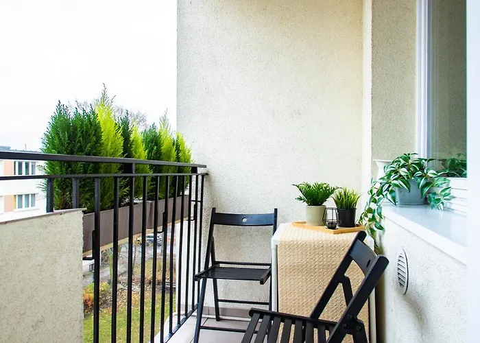 Potockiej 39 - Lazarz 포즈난